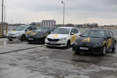 Alians Taxi Partner Rozliczeniowy - BOLT / FREENOW / UBER